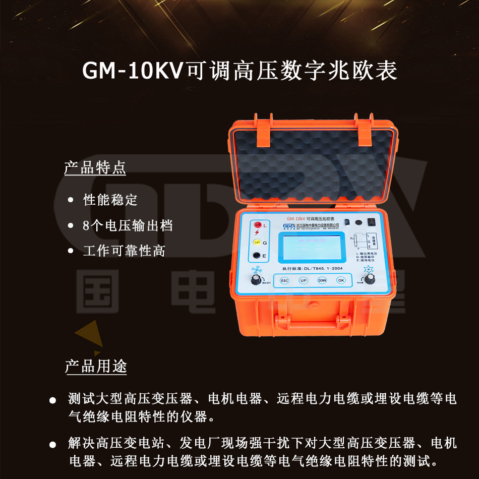 GM-10kV可调高压数字兆欧表介绍图